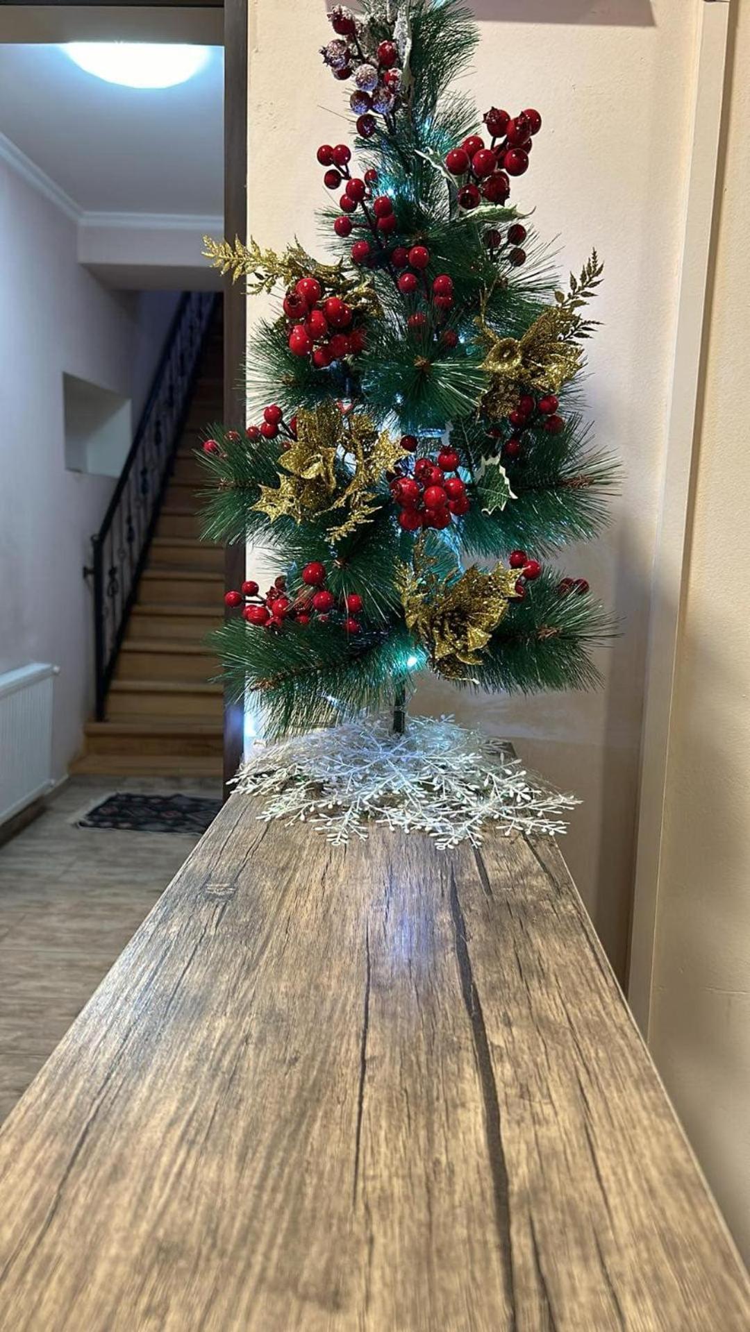 Hotel Svanseti Mestia Bagian luar foto